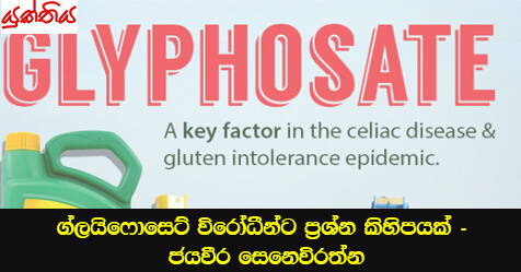 ග්ලයිෆොසෙට් විරෝධීන්ට ප්‍රශ්න කිහිපයක් – ජයවීර සෙනෙවිරත්න