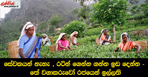 සේවකයන් නැහැ , රටින් ගෙන්න ගන්න ඉඩ දෙන්න – තේ වගාකරුවෝ රජයෙන් ඉල්ලති