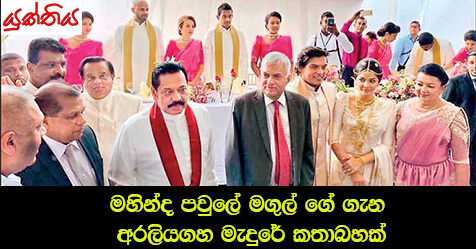 මහින්ද පවුලේ මගුල් ගේ ගැන අරලියගහ මැදුරේ කතාබහක්