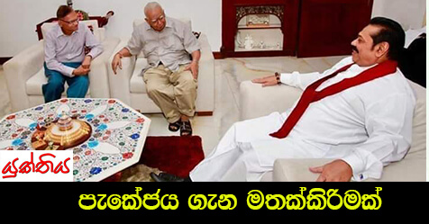 පැකේජය ගැන මතක්කිරිමක් – සුමේධ භානු රත්නායක