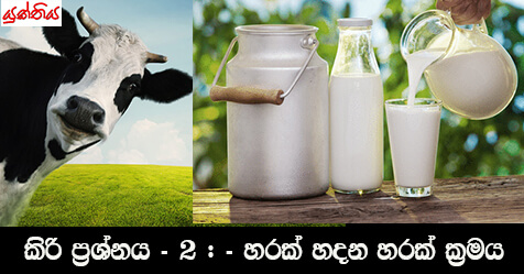 කිරි ප්‍රශ්නය – 2 : – හරක් හදන හරක් ක්‍රමය