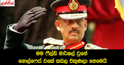 “මම ෆීල්ඩ් මාර්ෂල් වුනේ ගොල්ෆේස් එකේ කඩල විකුණලා නෙමෙයි” – ෆොන්සේකා