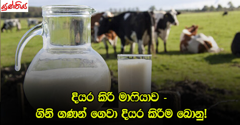 දියර කිරි මාෆියාව – ගිනි ගණන් ගෙවා දියර කිරිම බොනු!