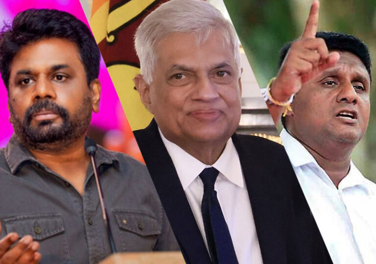 අන්නාසි සමීක්ෂණ හා සාරවිට නිරීක්ෂණ – (ආචාර්ය උදන් ප්‍රනාන්දු)